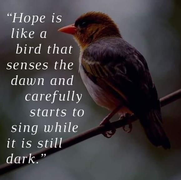 Profile Picture of Char Cearlock (@charcearlock) on Poshmark