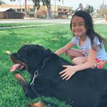 Profile Picture of Eric Hing|Von Der Hing Rotties (@eric.hing) on Instagram