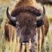 Profile Picture of James Eastman (@basher127) on Pinterest