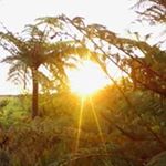 Profile Picture of Reginald Kemp (@reginald.kemp) on Instagram