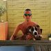 Profile Picture of Michael Claassen (@michael.claassen.12) on Facebook