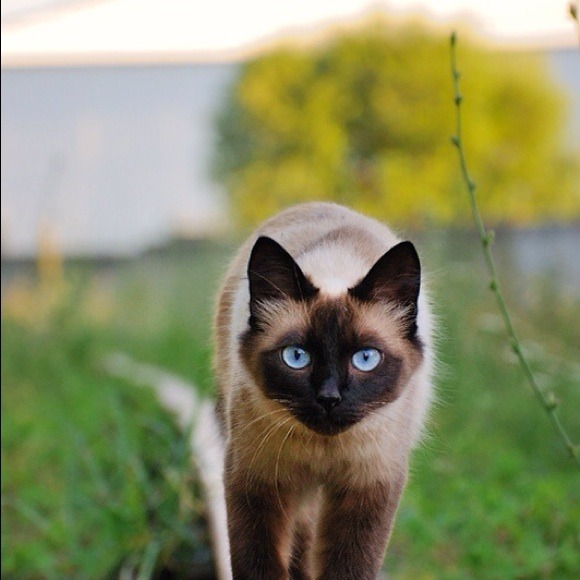 Profile Picture of Bianca Ilardi (@bilardi) on Poshmark