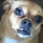 Profile Picture of Carter (@cressdwelll) on Instagram