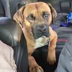 Profile Picture of Phillip Matherly (@scuba_zeus) on Instagram