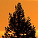 Profile Picture of Steve Watson (@VisionScape Photography) on Flickr