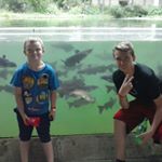 Profile Picture of David Dyess (@dyess) on Instagram