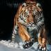 Profile Picture of Nicholas Swift (@nicholas.swift.5.co.uk) on Facebook