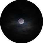 Profile Picture of ••• •• •• ••• (@dawn_bird_9) on Instagram