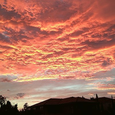 Profile Picture of XuManjiang (@Xu_Manjiang) on Twitter