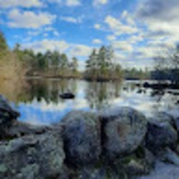 Profile Picture of Rhea Jacob (@rheajacob2026) on Poshmark