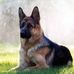 Profile Picture of Kenneth Koll (@Kenneth-Koll) on Facebook
