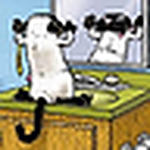 Profile Picture of Michael Kleinberg (@MKleinberg) on Flickr