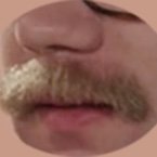 Profile Picture of Stephen Hackett’s Moustache (@ismh_stache) on Twitter