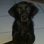 Profile Picture of Jonathan Neveu (@neveu.jonathan) on Instagram