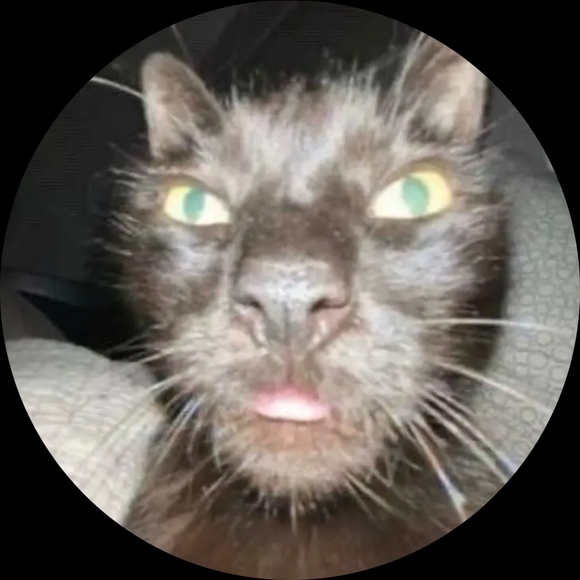 Profile Picture of Victoria Gogol (@victoriagraceg) on Poshmark