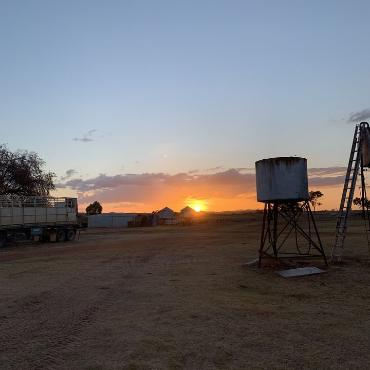 Profile Picture of Charlie Pemble (@charliepemble) on Tiktok