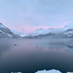 Thomas Portmann - Instagram Profile Picture of Thomas Portmann (@thoommymann) on Instagram