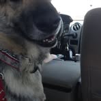 Profile Picture of Derek Coon (@derek.coon.589) on Facebook