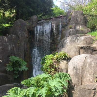 Valerie Higgins - Twitter Profile Picture of Valerie Higgins (@HigginsValerie) on Twitter