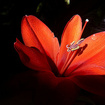 Profile Picture of Maria Do Val Da Fonseca (@maria do val da fonseca) on Flickr