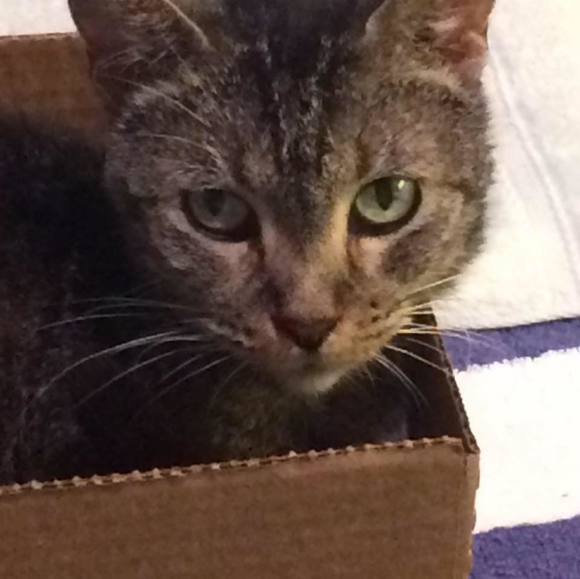 Profile Picture of Vicki Dangerfield (@vicki_lee_b) on Poshmark