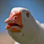 Profile Picture of Dolan Dark (@darkdolan) on Instagram