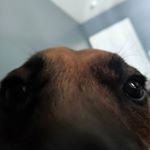 Profile Picture of Benjamin Adam Parham (@sensitivesensibilities) on Instagram