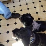 Profile Picture of Terry Gums (@terrygums) on Instagram