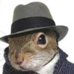 Profile Picture of Jim Solar (@jimsoltor) on Twitter