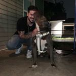 Profile Picture of David Martin Pulido (@daviddondodda94) on Instagram