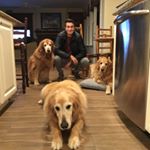 Profile Picture of Rob Beard (@robert_bird59) on Instagram