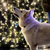 Profile Picture of Peter Tat (@Peter_tat) on Youtube