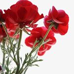 Profile Picture of Bobby Sherrer (@sherrerbobby) on Instagram