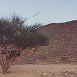 Profile Picture of شيهانه الشمال (@saehant_alsamil) on Instagram