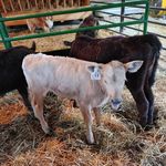 Profile Picture of robin slaby (@robinslaby2016) on Instagram