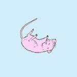 Profile Picture of Shaun Clark (@great.weather) on Instagram