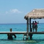 Profile Picture of Syl (@sylviasmileyface) on Instagram