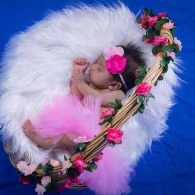 Profile Picture of Amelia Lugo (@AmeliaLugo6) on Twitter