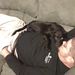 Profile Picture of Patrick Rayl (@prayl07) on Pinterest