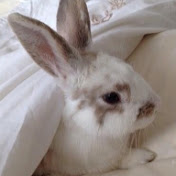 Profile Picture of Isabel Bowles (@isabelbowles6181) on Youtube