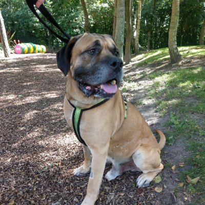 Profile Picture of Jason Whitbread (@whitbread_jason) on Twitter