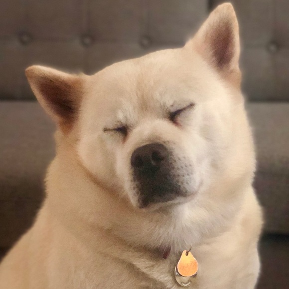 Profile Picture of Jorge Cisneros (@90c) on Poshmark