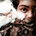 Profile Picture of Andre Charpentier (@andrecharpentier) on Instagram