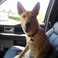 Profile Picture of Chase Hammer (@chase-hammer) on Quora