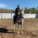 Profile Picture of jose alaniz (@alaniz7065) on Instagram