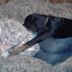 Profile Picture of Janet Trotter (@janet.trotter.581) on Facebook
