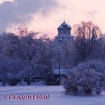 LARAE - Instagram Profile Picture of LARAE (@laraemaplehilla) on Instagram