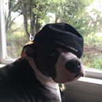 Profile Picture of Matt Handley (@matt_handley175) on Instagram