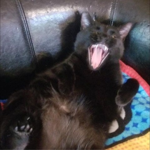 Profile Picture of Dave Schierling (@daveschierling) on Poshmark