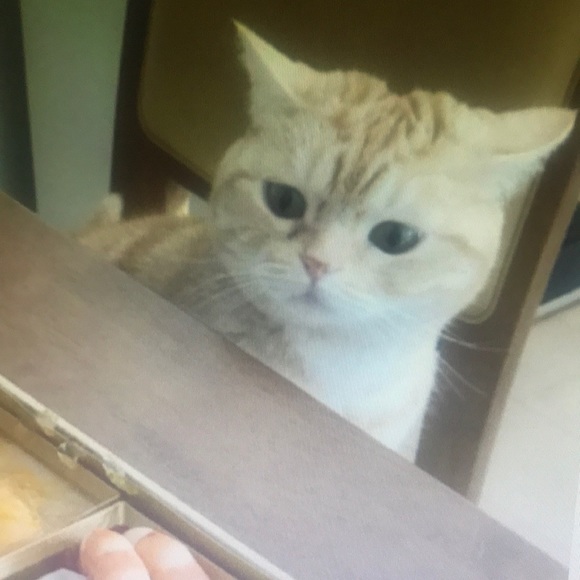 Profile Picture of Jonathon Hodges (@justincerva295) on Poshmark